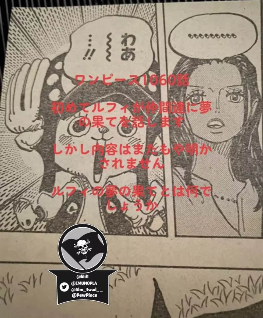 One Piece 1060 Spoilers Vf Reddit Scan Raw France